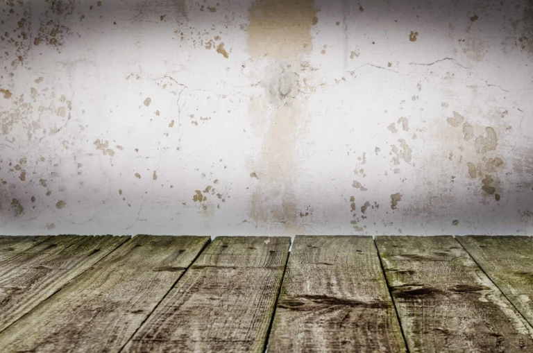 I Asked ChatGPT Why My Basement Always Smells Musty – I Wasn't Ready for the Answer - Featured image