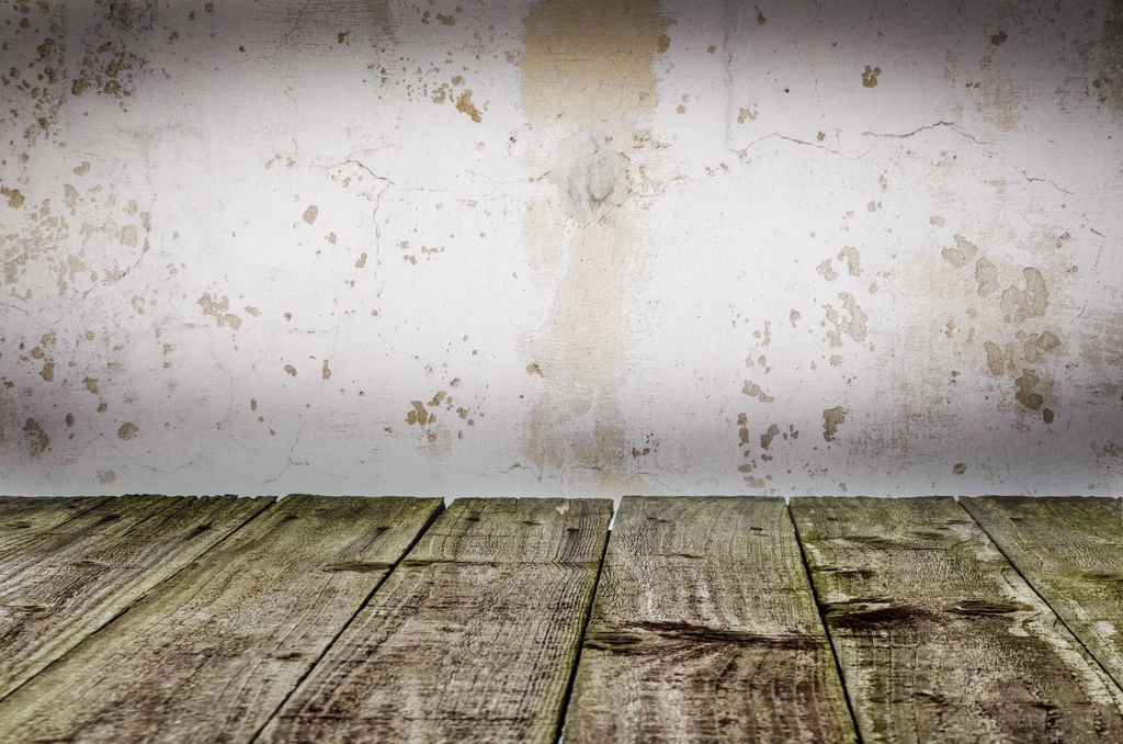 I Asked ChatGPT Why My Basement Always Smells Musty – I Wasn't Ready for the Answer