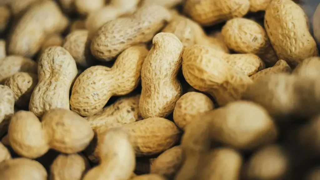 Nurtured Nuts Removes Three Proteins to Create Allergy-Safe Peanut - Featured image