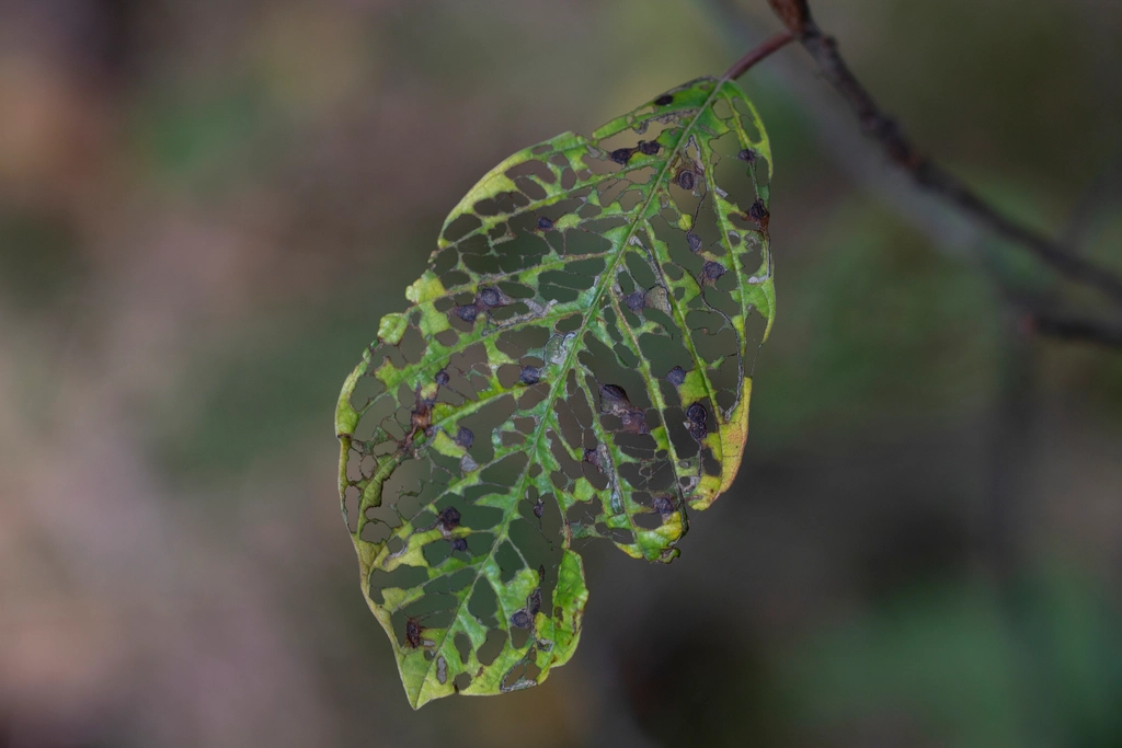 I Gave an AI Chatbot Photos of My Dying Houseplants – Its Diagnosis Shocked Me