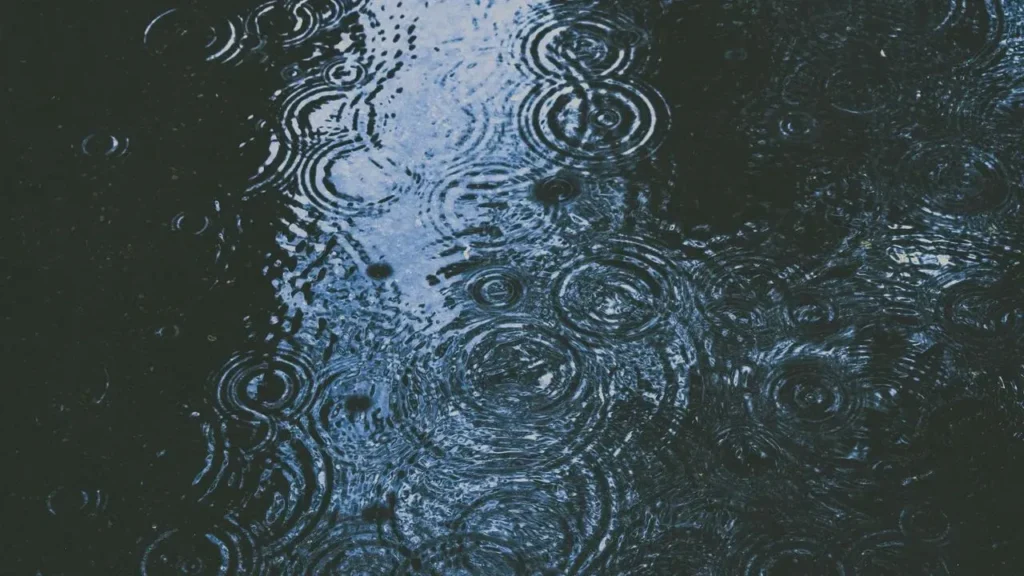 Tropical Storm Lala Soaks Hawaii's Big Island, Raising Mudslide Concerns for Gardens - Featured image