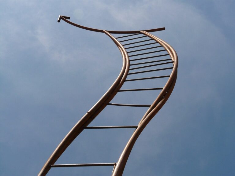The Common Ladder Habit That Causes the Most Backyard Falls - Featured image