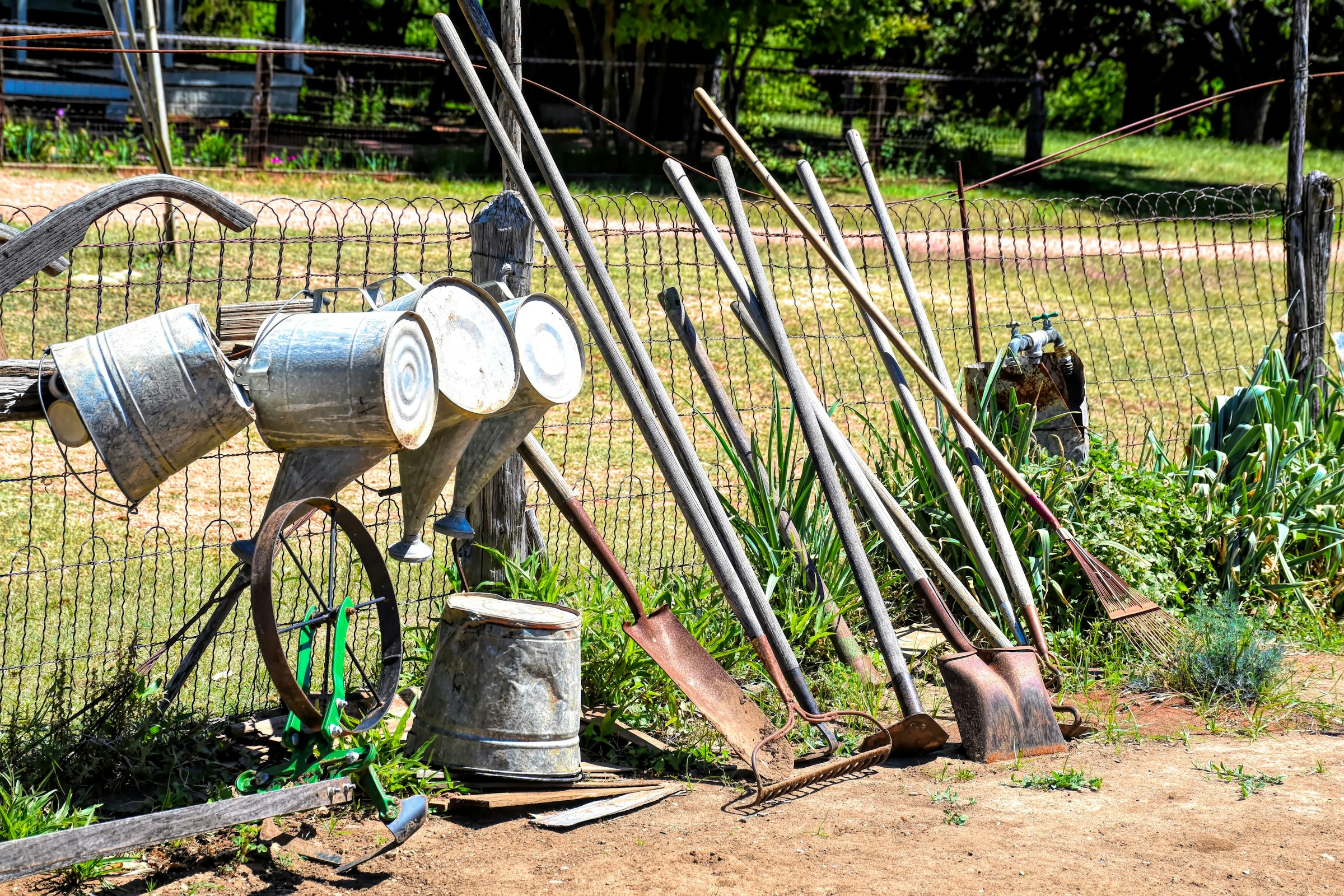 The Rusty Garden Tool Habit That Could Cost You a Trip to the ER