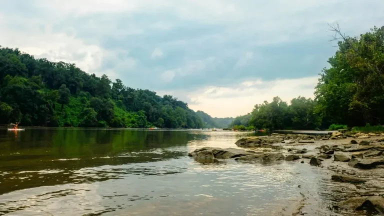 Potomac Drought Persists After DC Rains - Featured image