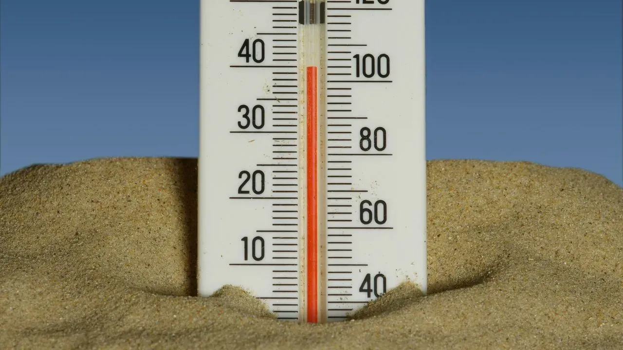 Las Vegas Heat Surges Past 110 Degrees: Steps Gardeners Can Take to Protect Plants Now
