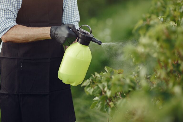 Why Feeding Plants at Midday Wastes Most of the Nutrients - Featured image