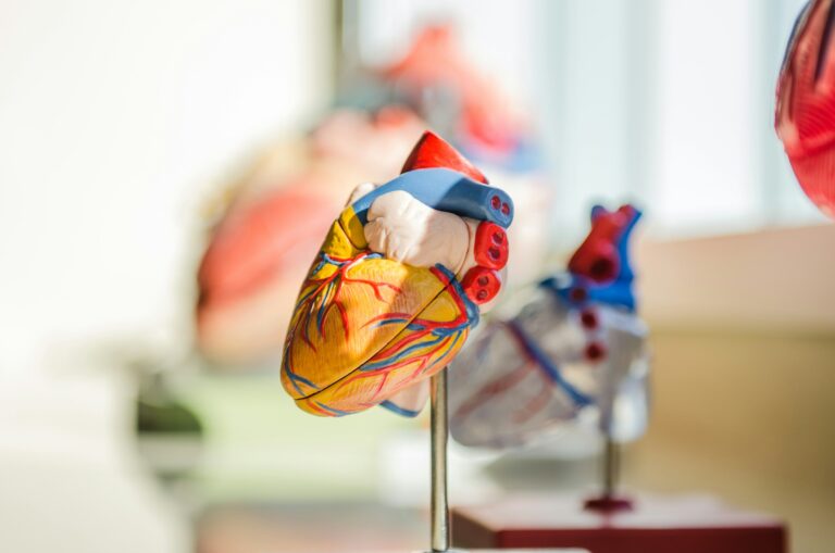 The 5 Best Foods for Heart Health - Featured image
