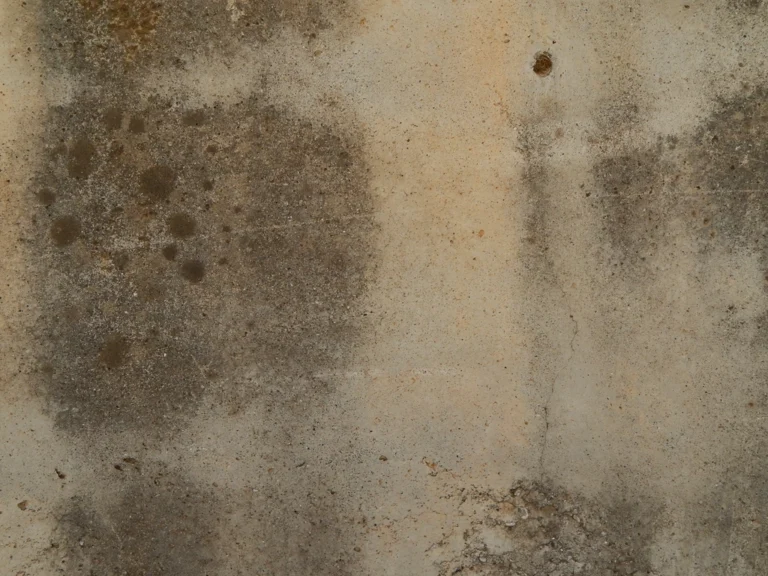 The Bath Mat Mistake That's Quietly Growing Mildew Underneath - Featured image