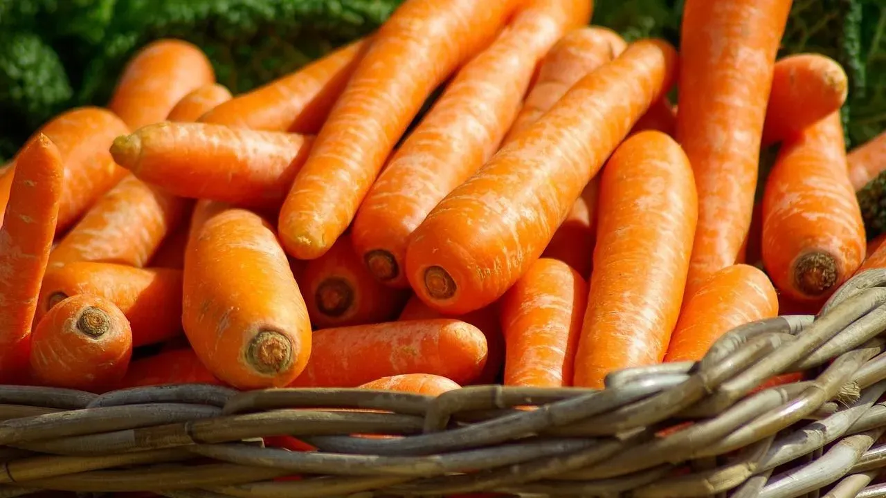 The Old-School Trick That Keeps Garden Carrots Crisp for Months—No Fridge Required