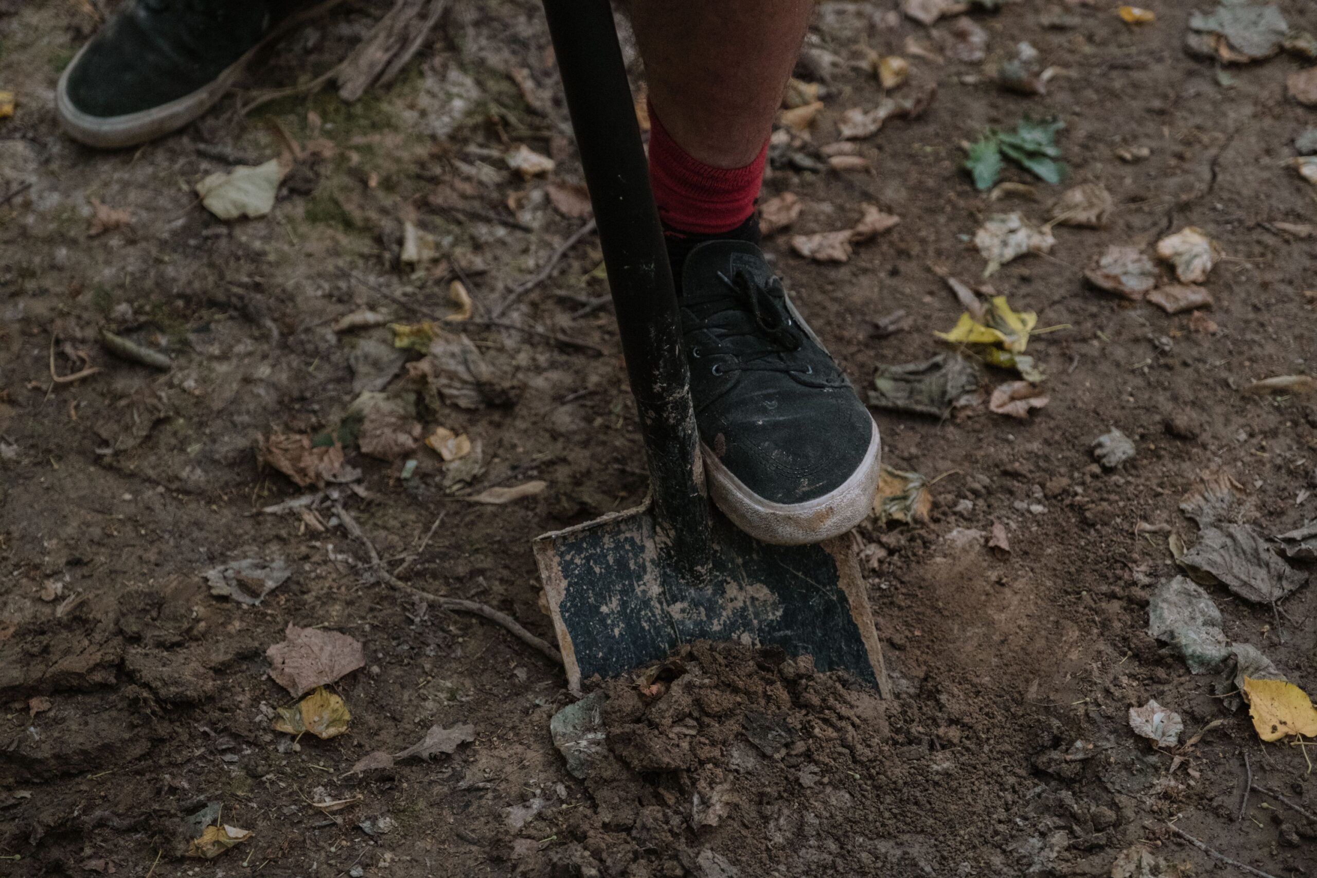 The Compost Myths That Have Been Wrong for Decades