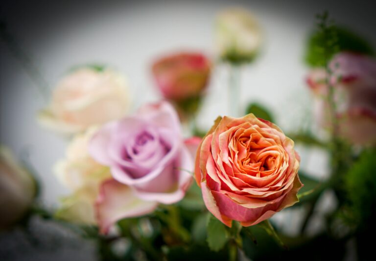 8 Old-Fashioned Flowers Making a Surprising Comeback in Value - Featured image