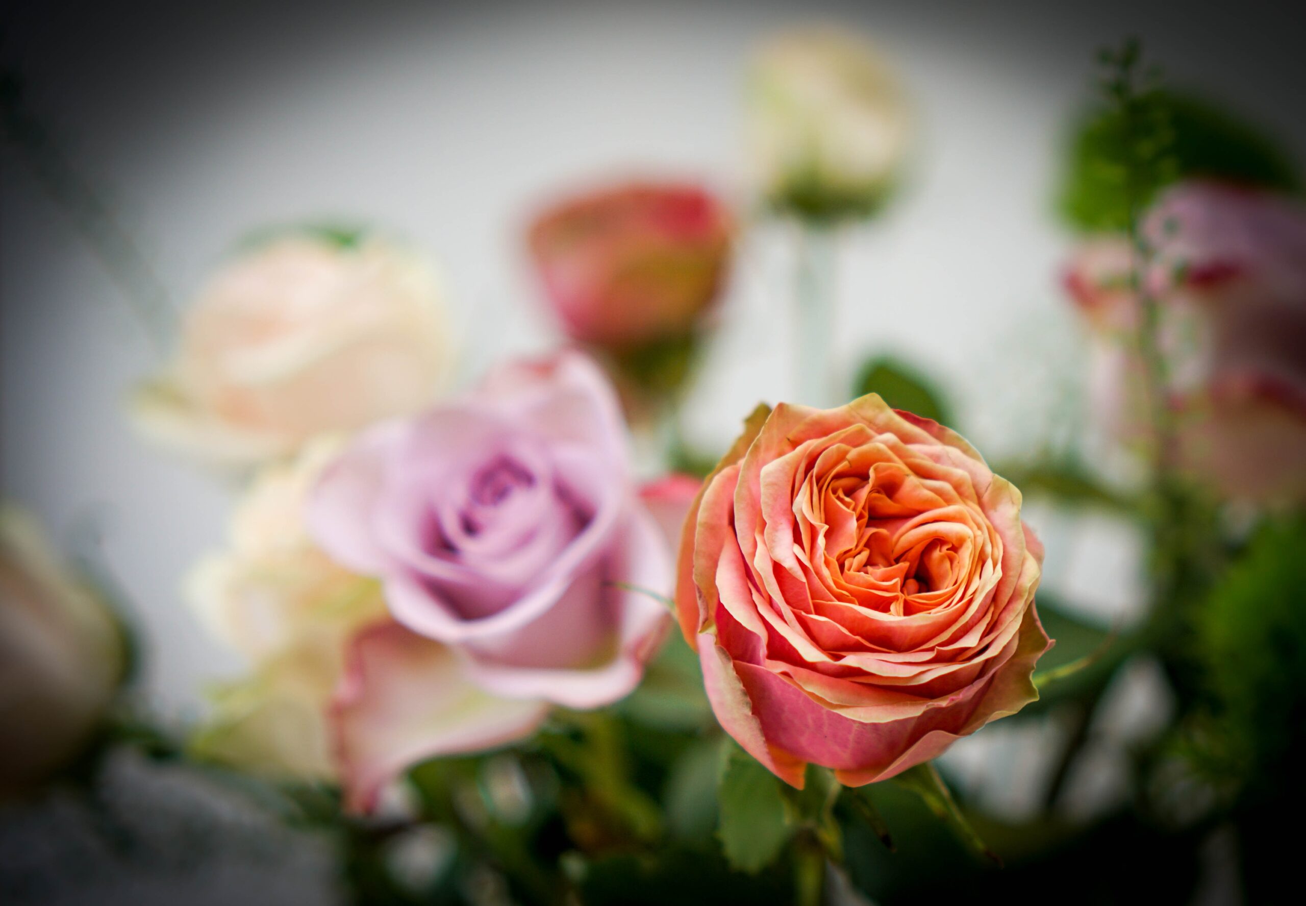 8 Old-Fashioned Flowers Making a Surprising Comeback in Value