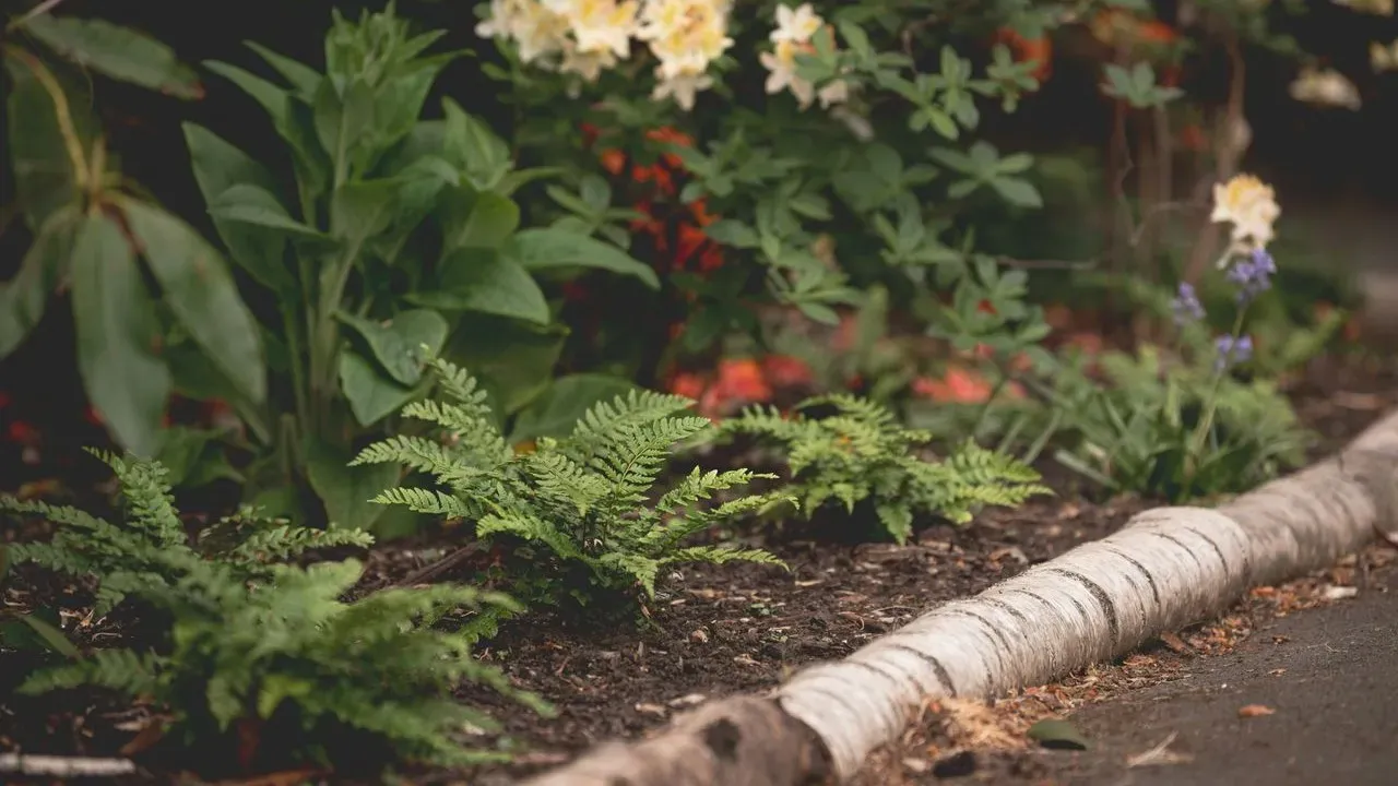 The Designer Secret That Makes a Narrow Garden Border Look Full