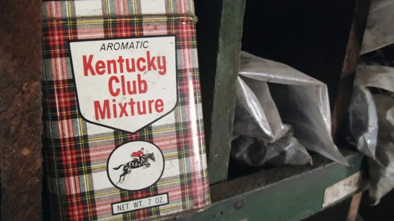 Buckeyes and Pie in a $60 Kentucky House - Featured image