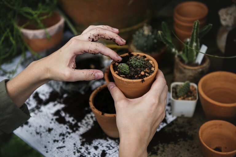 I Ignored Every Gardening Rule for a Season – And My Yard Outgrew the Neighbors' - Featured image