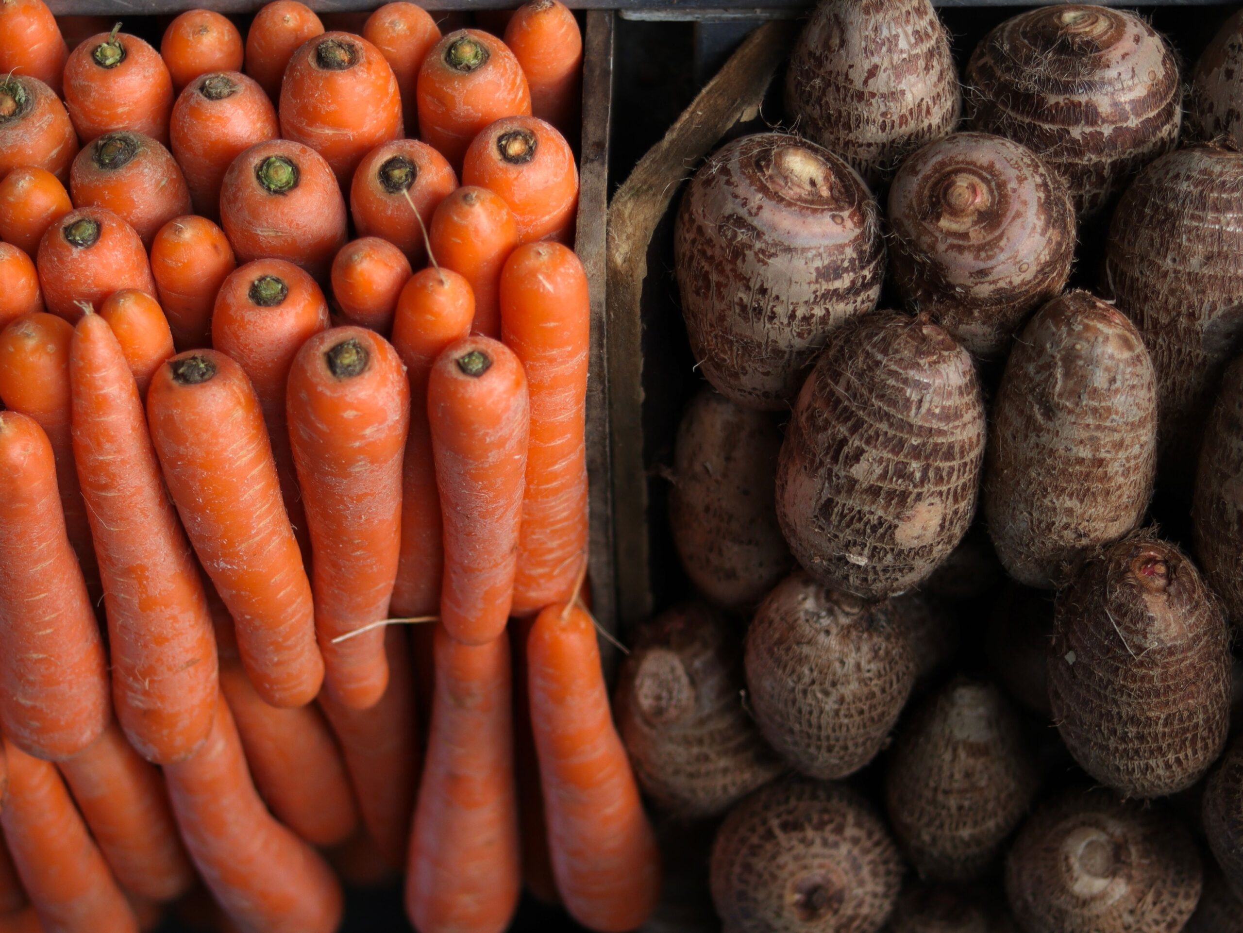 The Forgotten Root Cellar Trick That Still Beats the Fridge