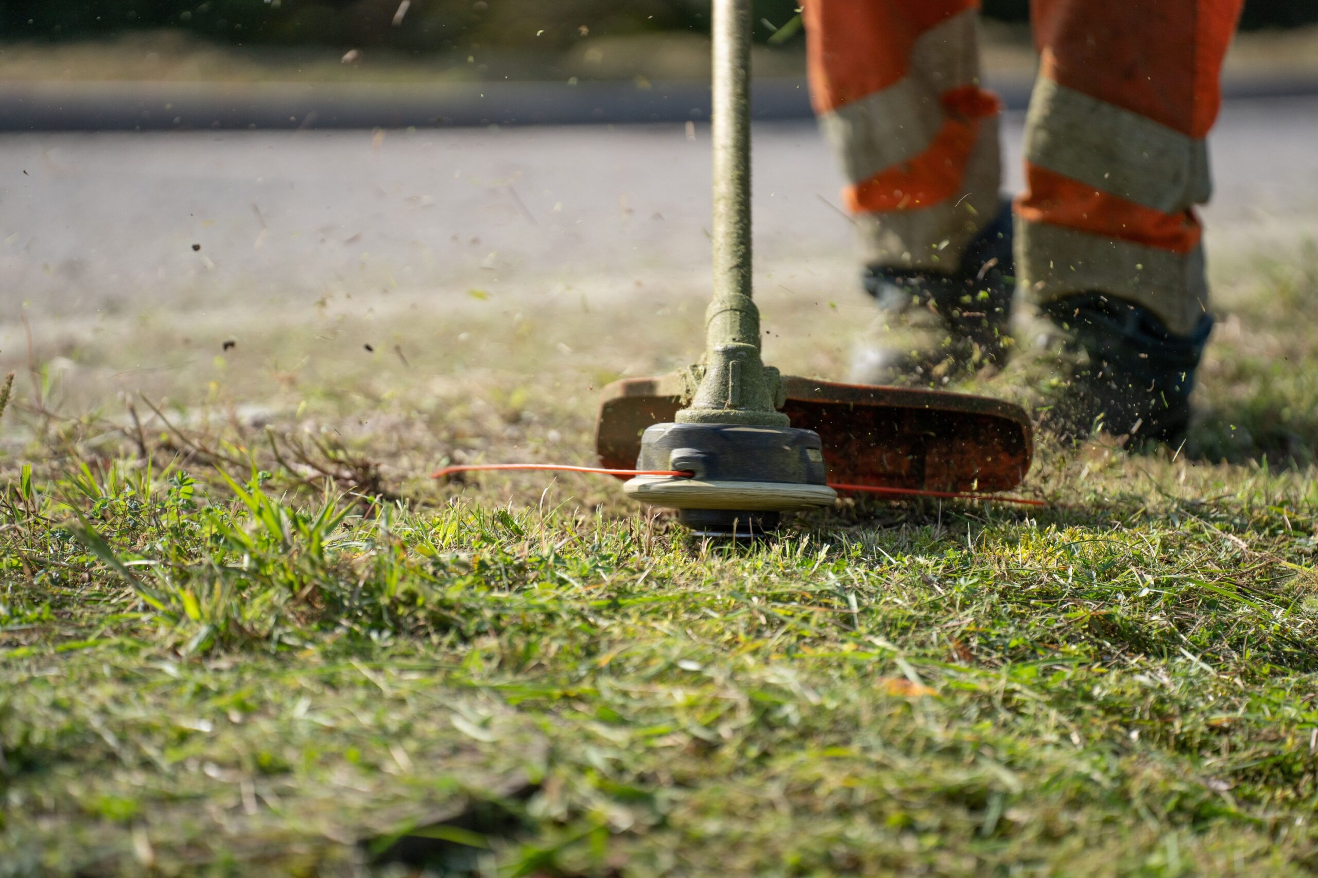The Edging Material That's Quietly Blocking Root Growth
