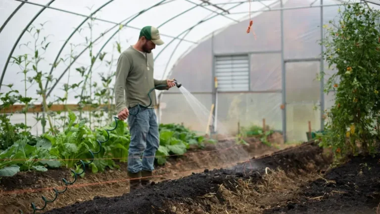 Years of Side-by-Side Tests Show When a Greenhouse Truly Earns Its Place - Featured image