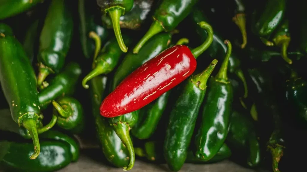 Jalapeño Peppers at Center of Salmonella Outbreak That Has Sickened 345 in 27 States - Featured image