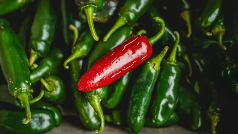 Jalapeño Peppers at Center of Salmonella Outbreak That Has Sickened 345 in 27 States - Featured image