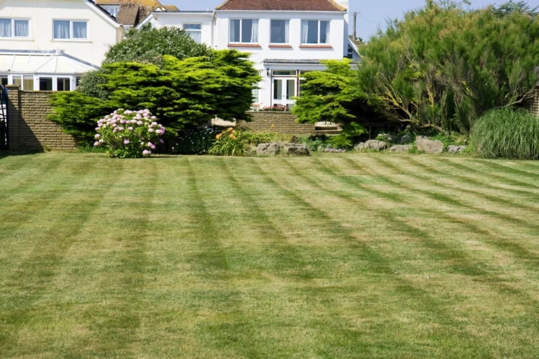 The Common Lawn Mistake That's Secretly Inviting Grubs - Featured image