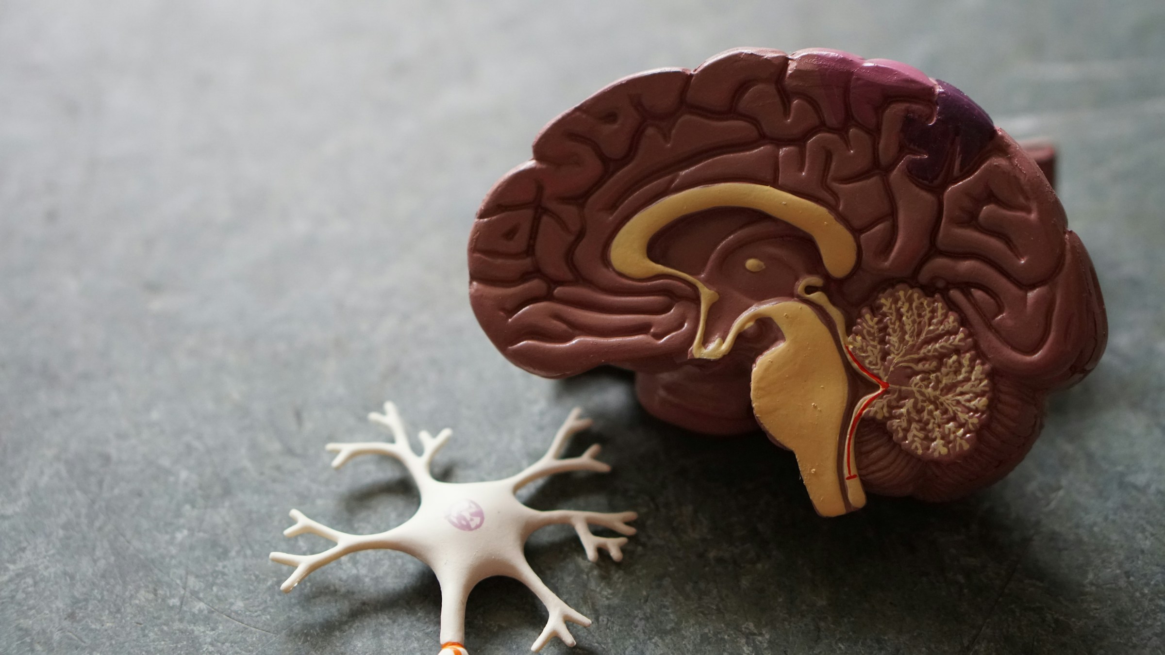 6 Foods Neurologists Eat to Sharpen Memory and Focus