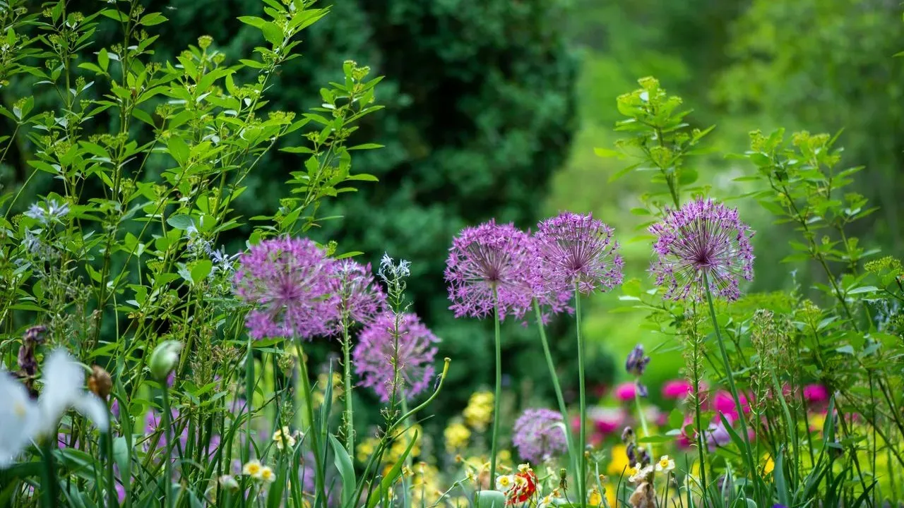 Garden Photographer Challenges Formulaic Coverage of Private Gardens