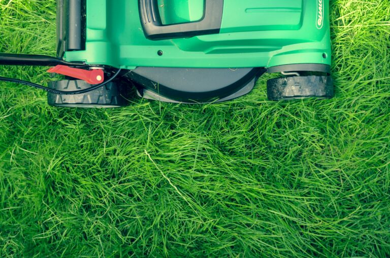 Why Leaving Grass Clippings Here Could Attract Dangerous Wildlife - Featured image