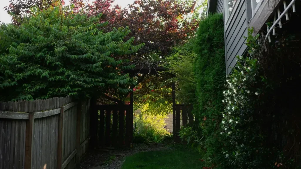 The Art of Expanding Narrow Front Yards with Strategic Landscaping - Featured image