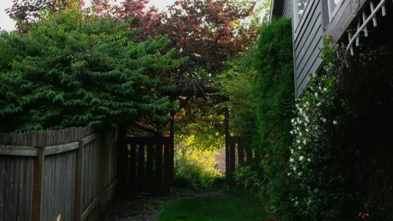 The Art of Expanding Narrow Front Yards with Strategic Landscaping - Featured image