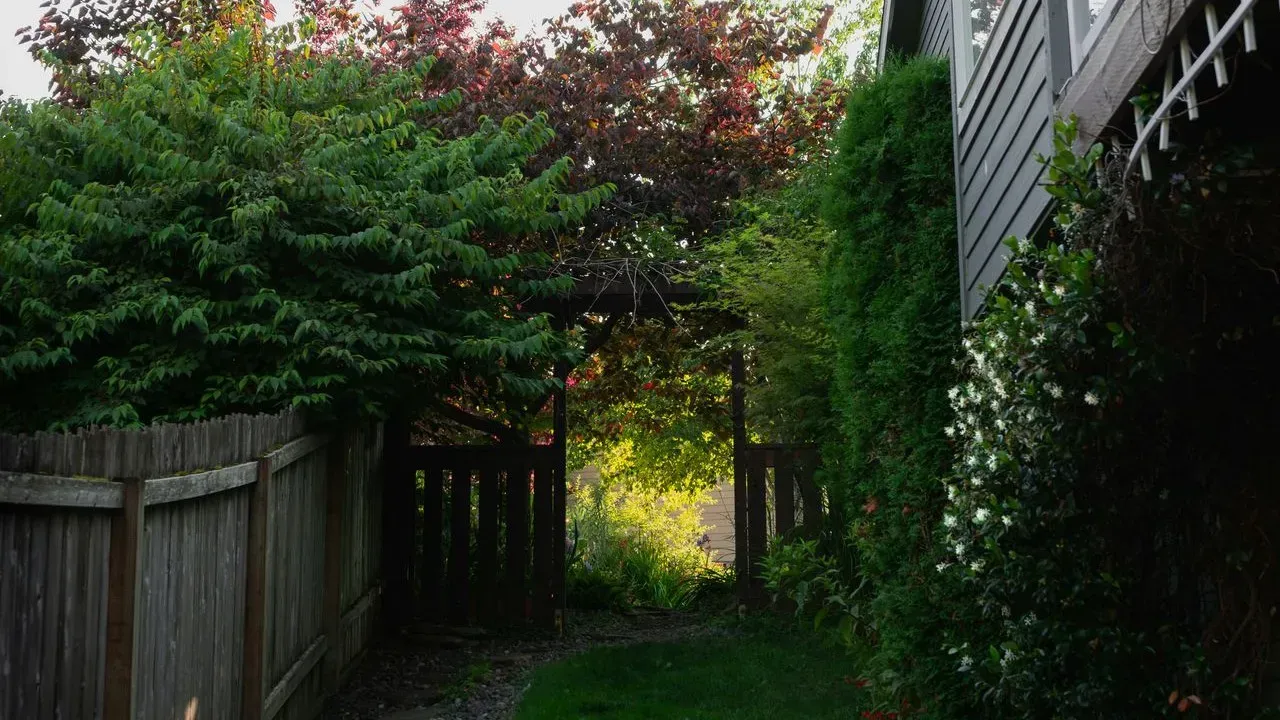 The Art of Expanding Narrow Front Yards with Strategic Landscaping
