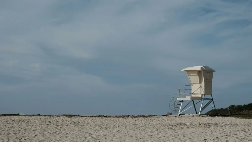 Santa Cruz Lifeguard Ryder Williams, 16, Receives White House Recognition After Ocean Rescue - Featured image