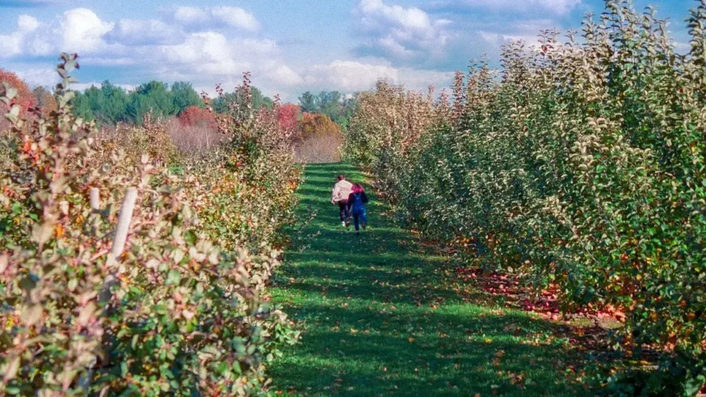 New Hampshire Farm Reborn as Working Garden - Featured image