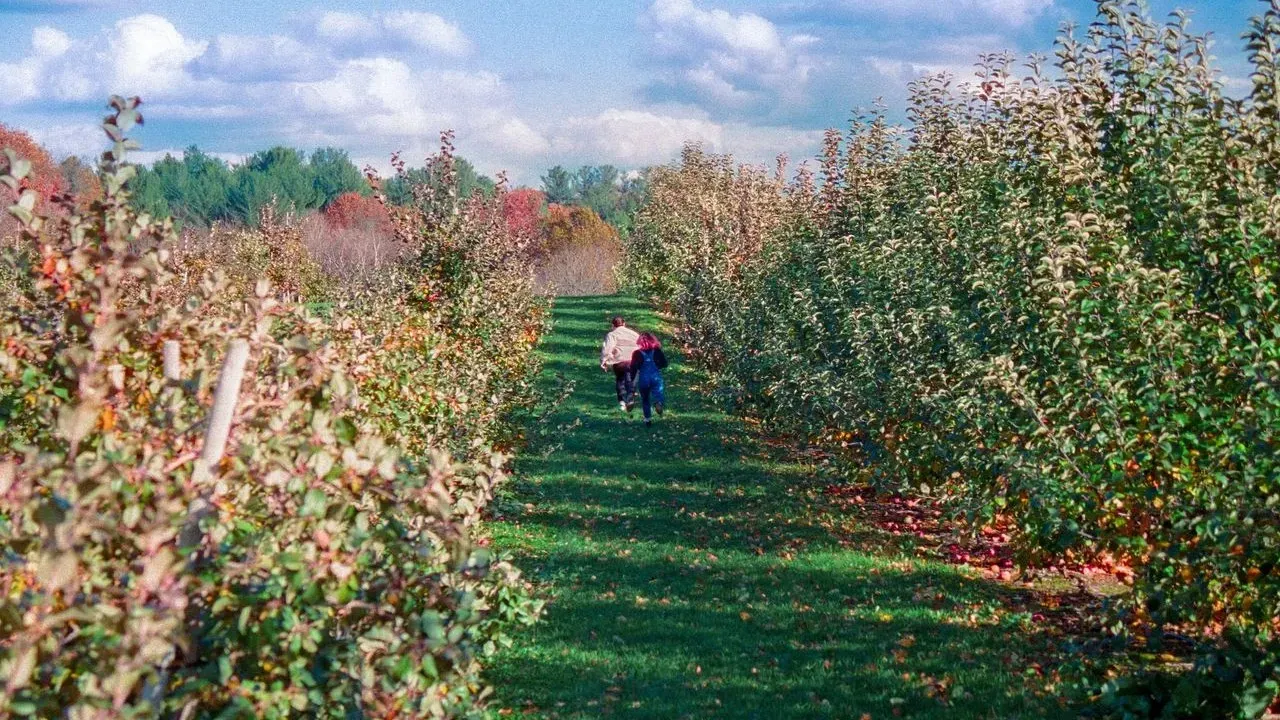 New Hampshire Farm Reborn as Working Garden