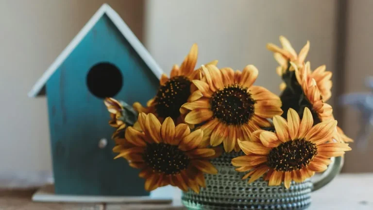 Whimsical Lanterns and Pumpkins Transform Fall Gardens - Featured image