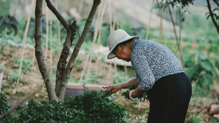 At 80, Replanting Roots in a Brand-New Garden - Featured image