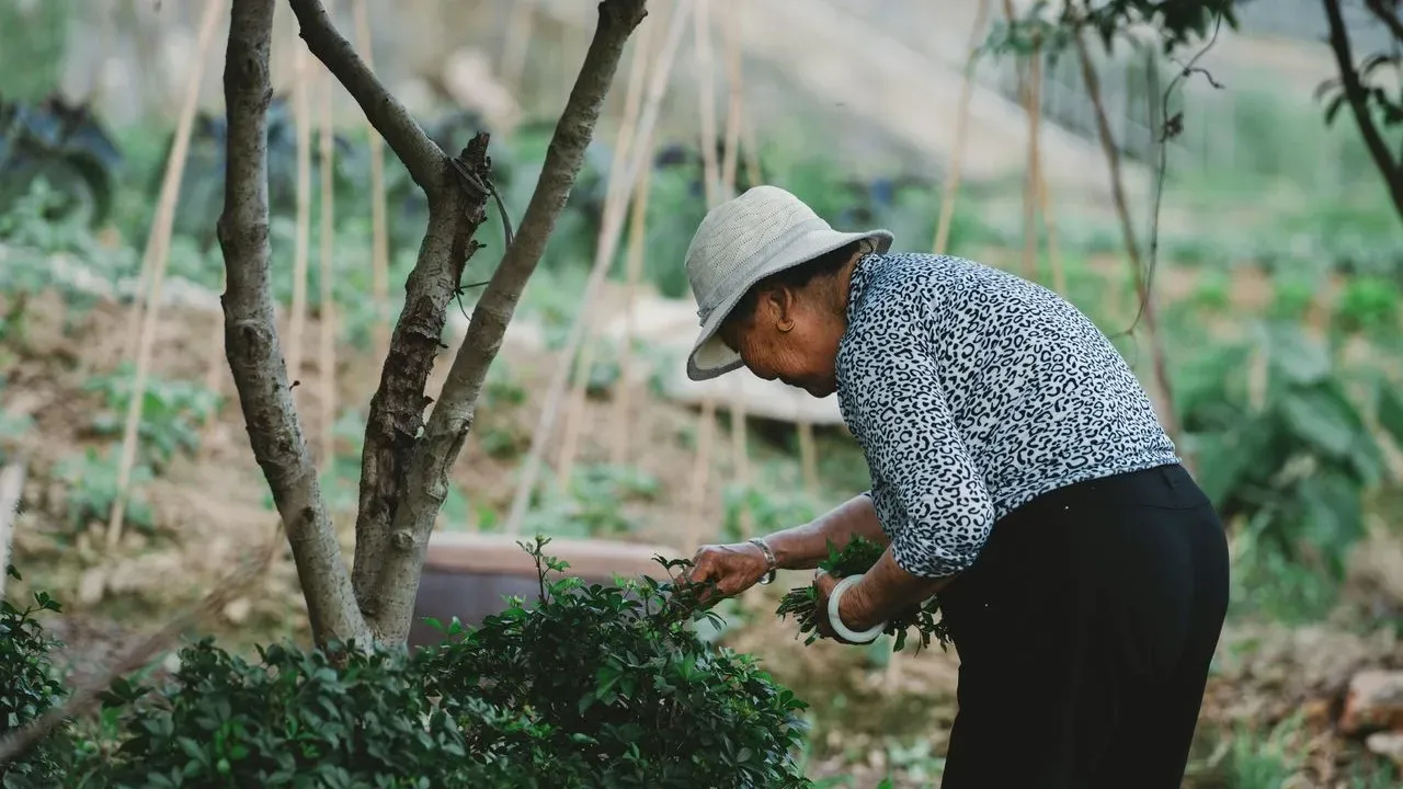 At 80, Replanting Roots in a Brand-New Garden