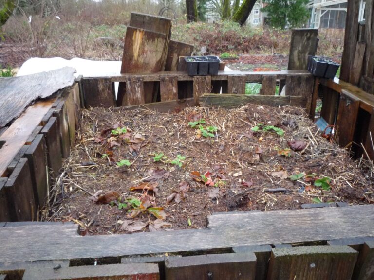 The Compost Bin Design From the 1970s Collectors Now Want - Featured image