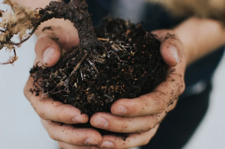 Why Planting Too Early Costs You More Than Waiting - Featured image