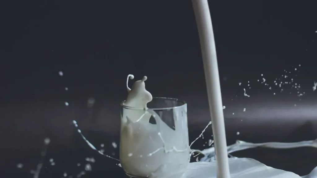 GLP-1 Users Fuel Whole Milk Revival - Featured image