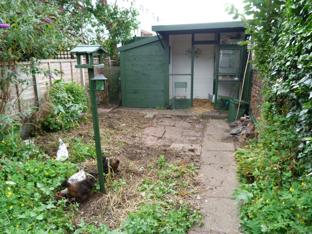 The Extension Cord Habit That Makes Outdoor Sheds Riskier Than You Think - Featured image