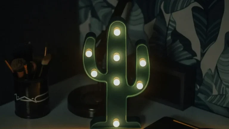 One Nighttime Light Can Erase Your Christmas Cactus Bloom Cycle - Featured image