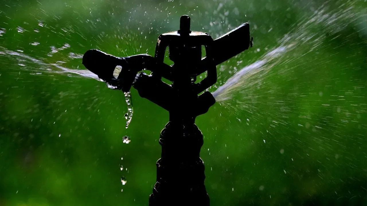 Why Your Lawn Looks Worse Despite Watering It This Summer