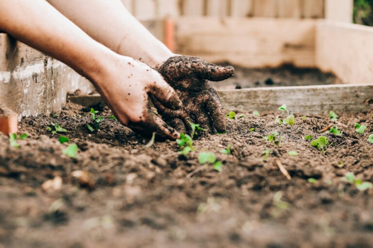 The Common Companion-Planting Mistake That's Quietly Reducing Your Yield - Featured image