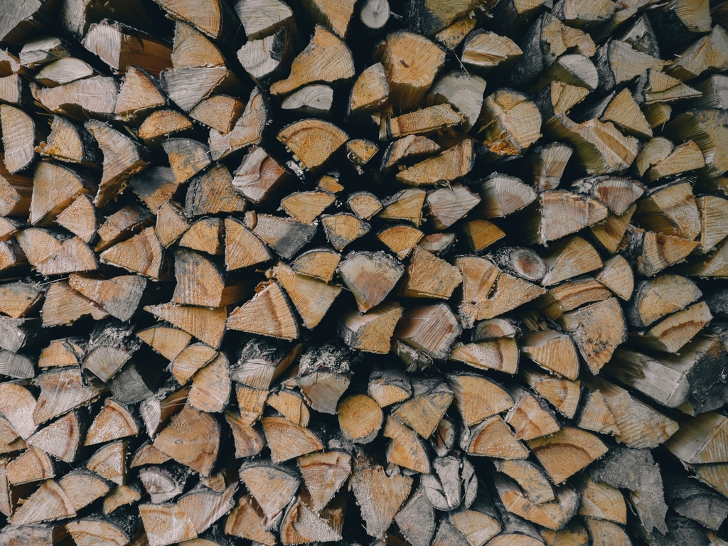 Why Storing Firewood Against the House Invites More Than Termites - Featured image