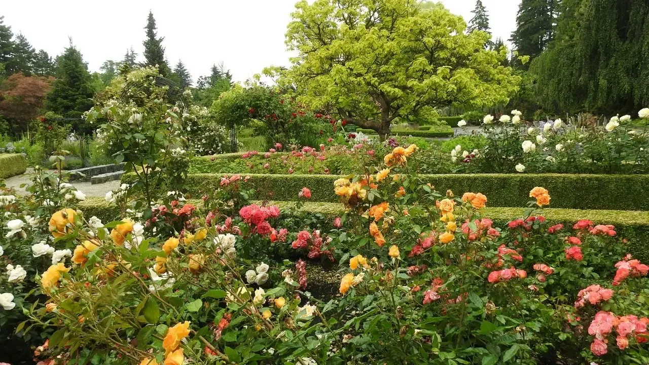 Steal These Ideas from Sydney's Botanic Garden