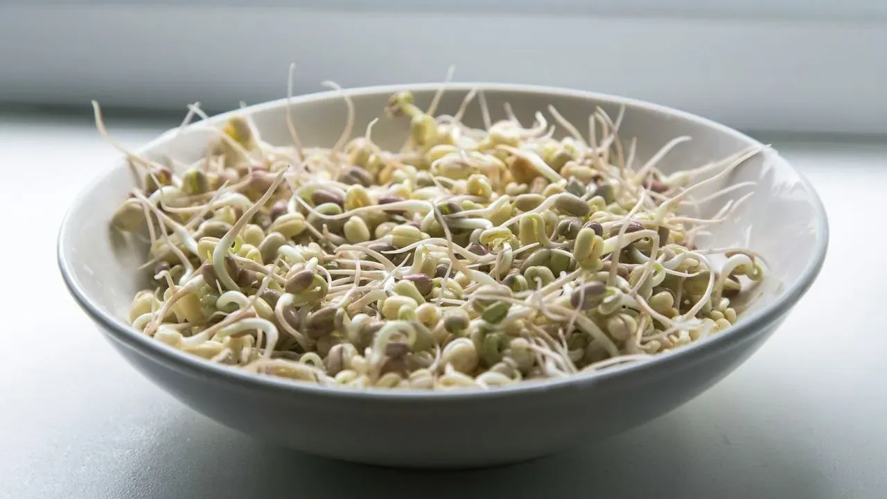 Alfalfa Sprouts Linked to Illness Outbreak Across 15 States