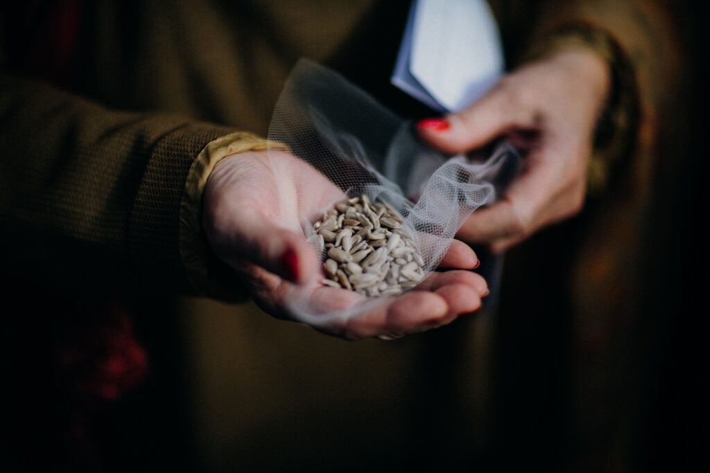 The Seed Catalog Hiding in Your Attic That Could Be Valuable - Featured image