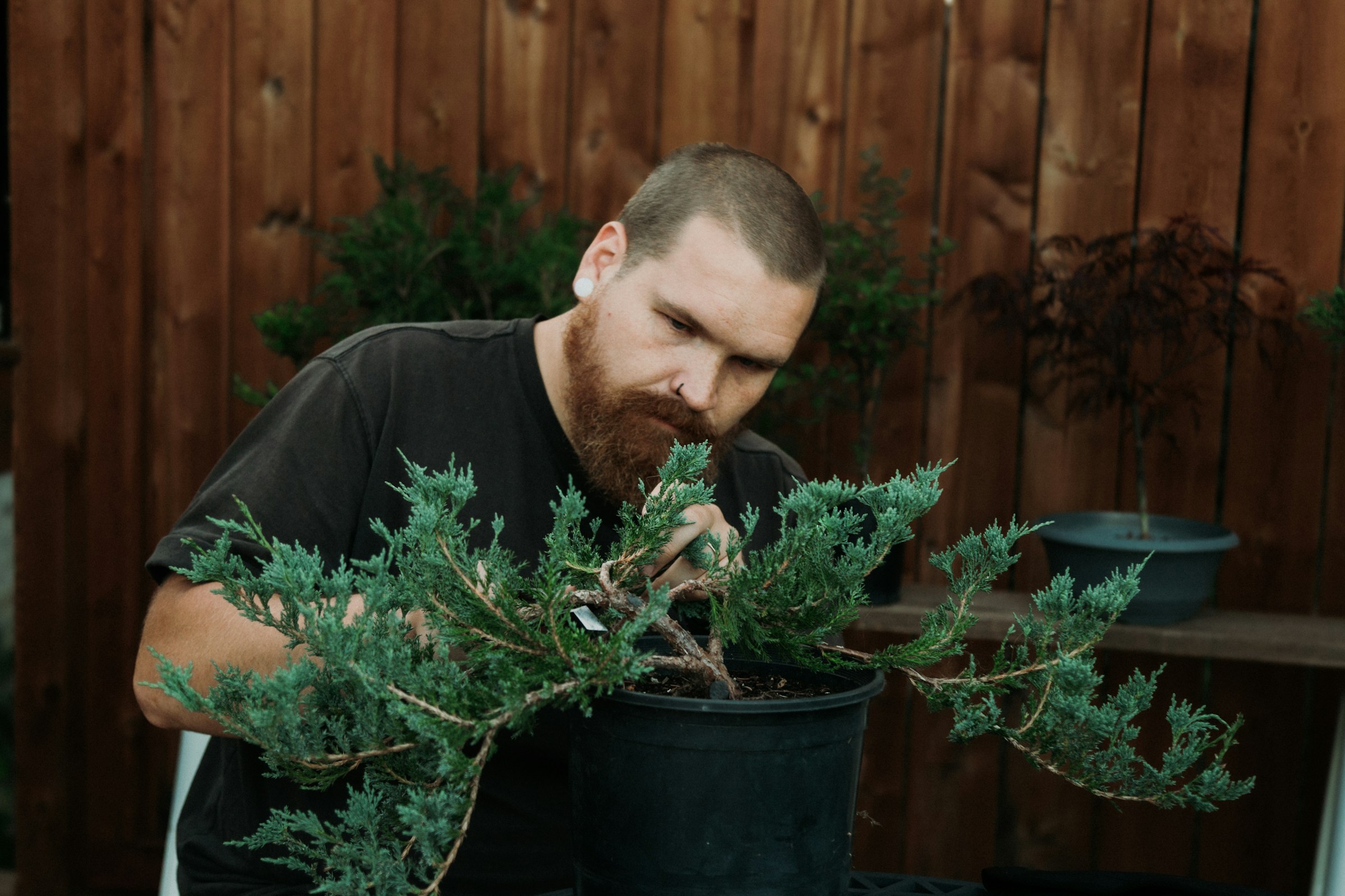Why Constant Repotting Stresses Plants More Than Neglect Does