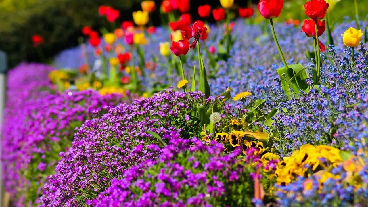 Kathleen’s Layered Garden Peaks in Hudson
